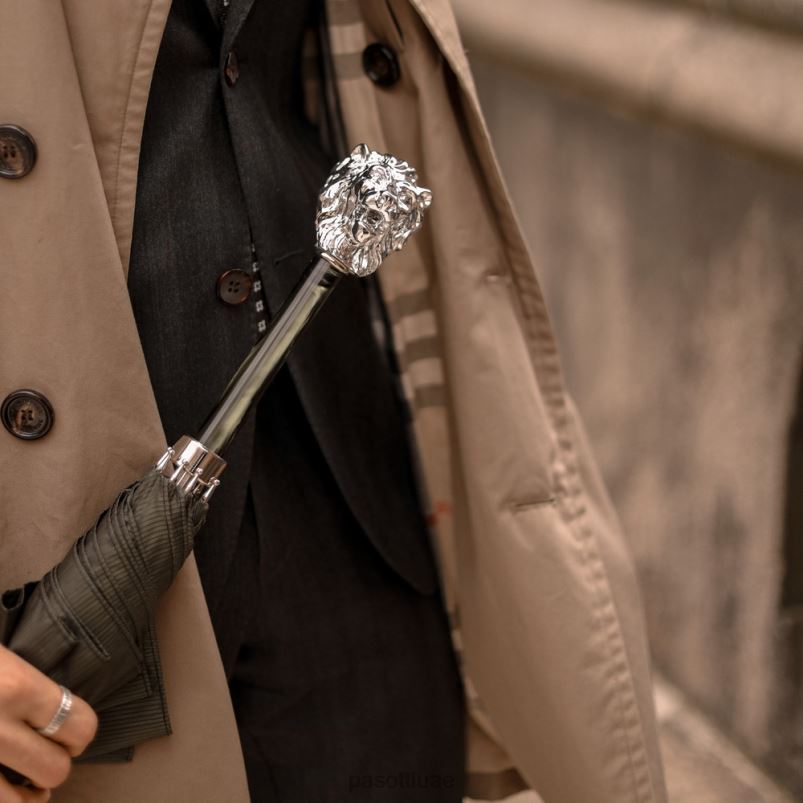 مظلة | 478 6768-6 w37pv - مظلة خضراء، مقبض أسد فضي PASOTTI Z446V79